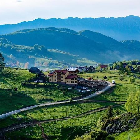 Pensiunea Crai Nou Hotel Şirnea Exterior foto