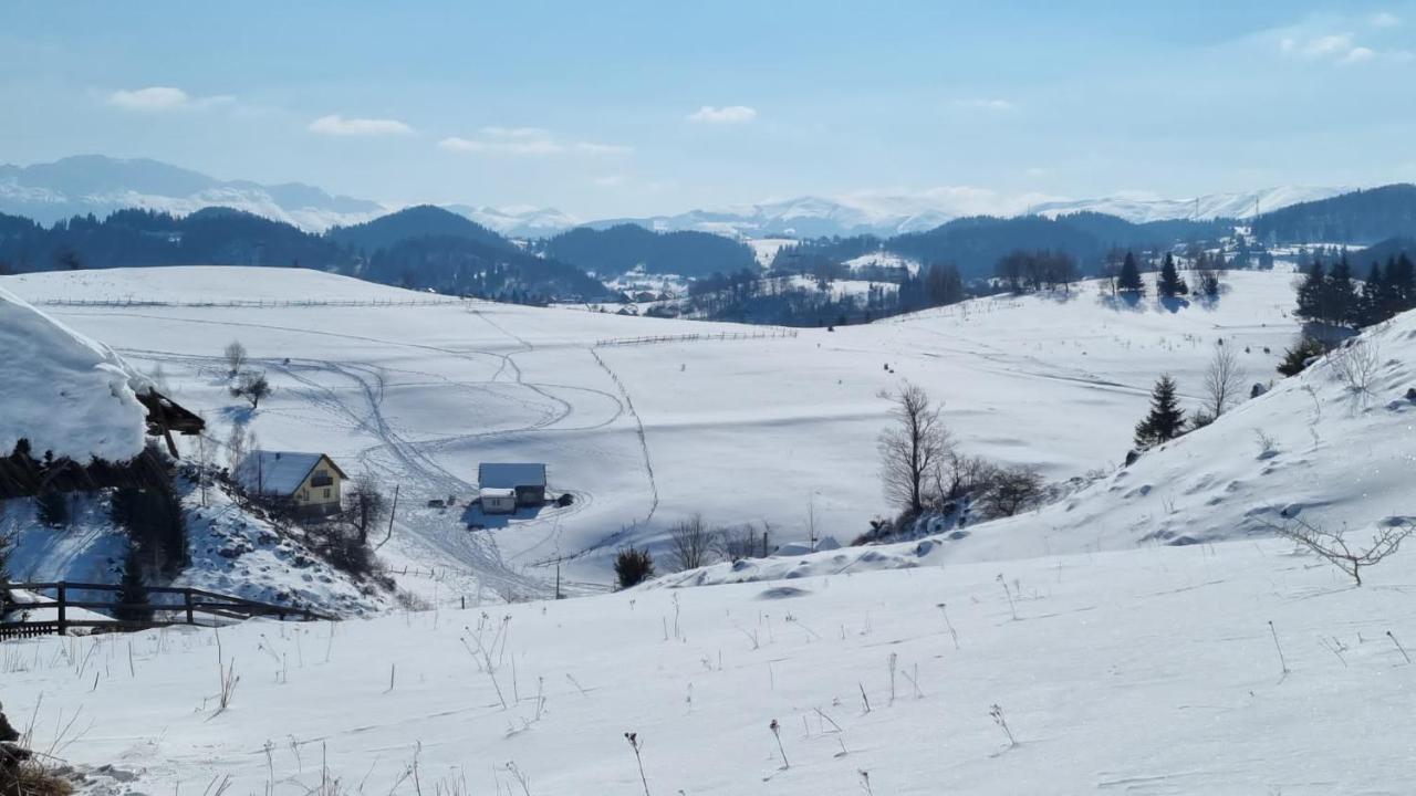 Pensiunea Crai Nou Hotel Şirnea Exterior foto