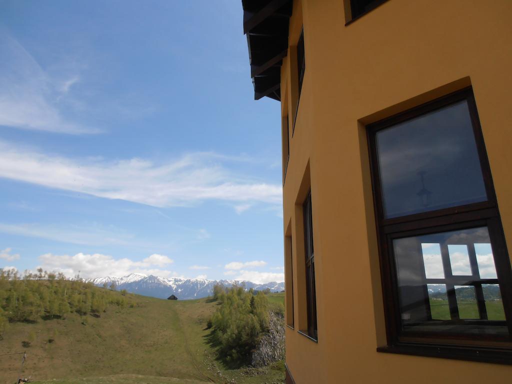 Pensiunea Crai Nou Hotel Şirnea Exterior foto