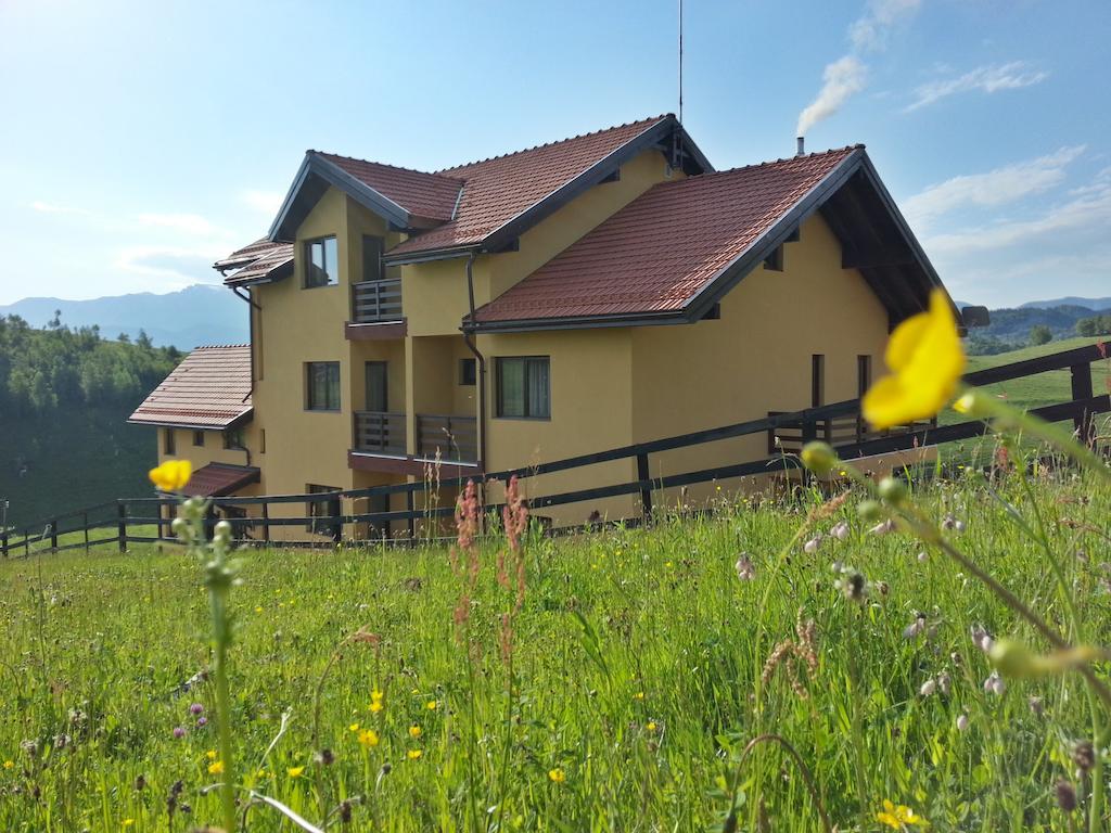 Pensiunea Crai Nou Hotel Şirnea Exterior foto